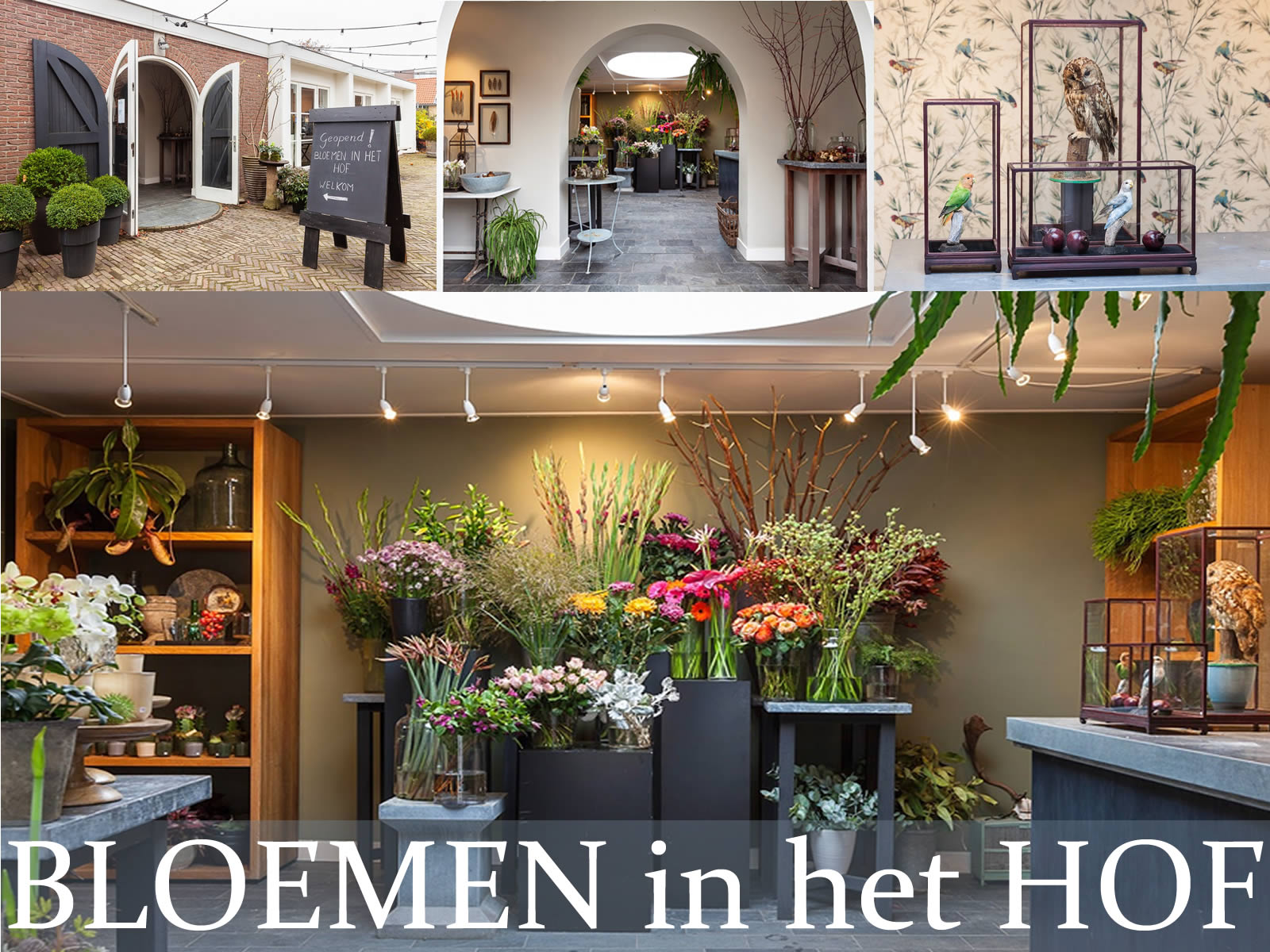 BLOEMEN in het HOF
